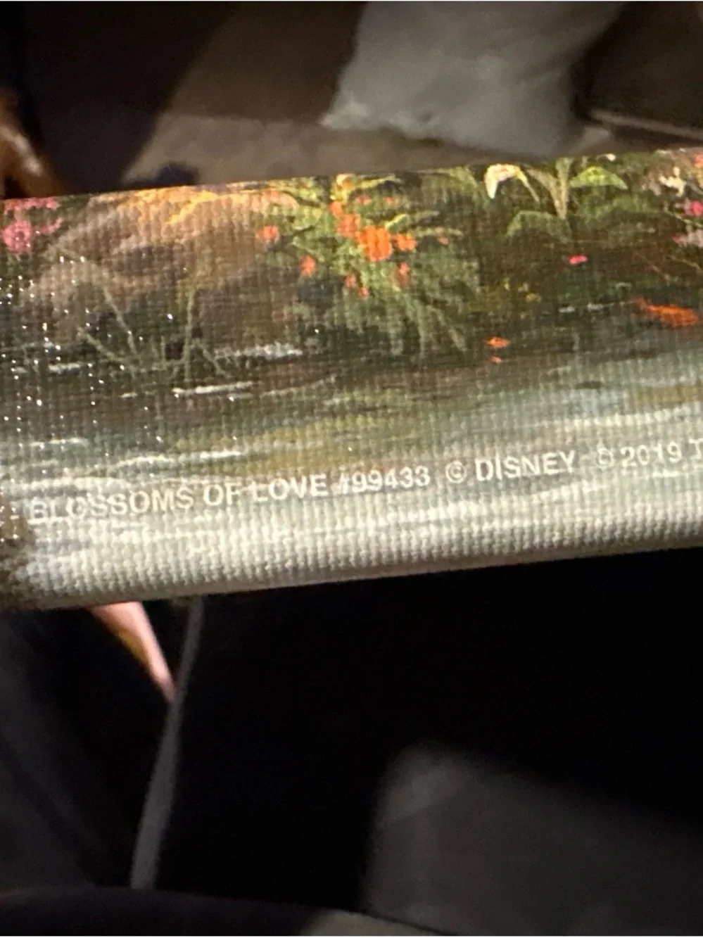 Thomas Kinkade disney painting